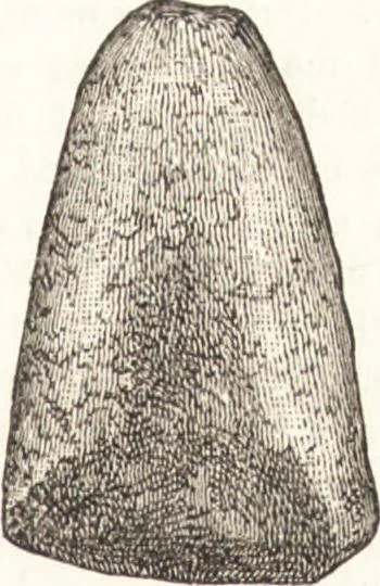 An illustration from Ilios; the city and country of the Trojans. The results of researches and discoveries on the site of Troy and throughout the Troad in the years 1871-72-73-78-79, including an autobiography of the author, 1880, leaf 470
