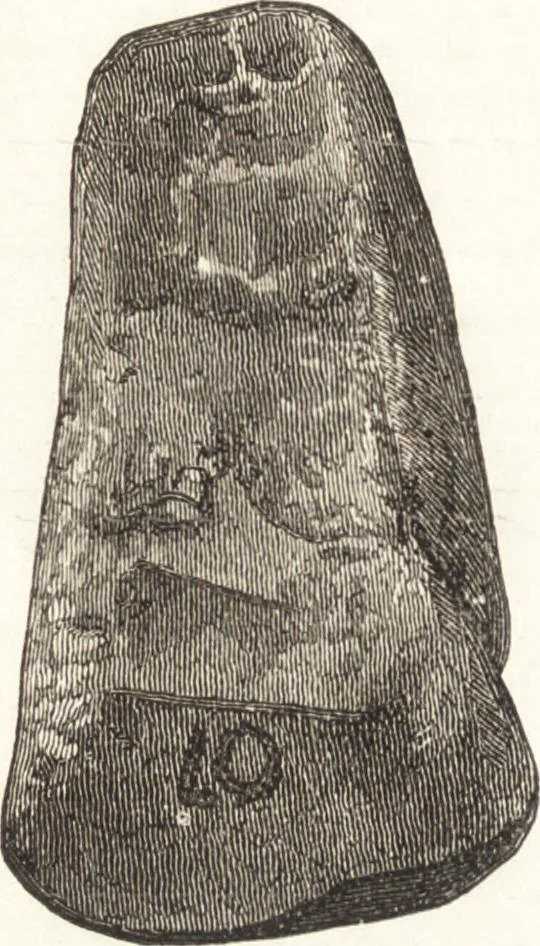 An illustration from Ilios; the city and country of the Trojans. The results of researches and discoveries on the site of Troy and throughout the Troad in the years 1871-72-73-78-79, including an autobiography of the author, 1880, leaf 477