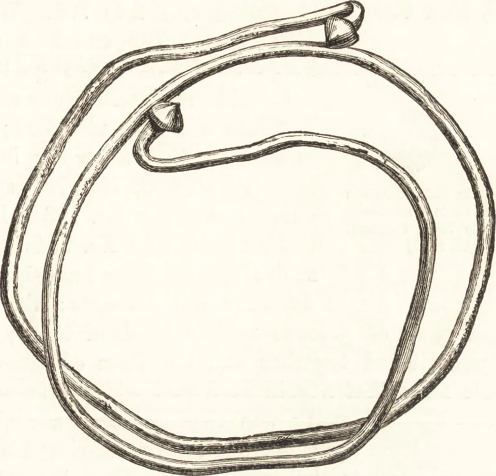An illustration from Ilios; the city and country of the Trojans. The results of researches and discoveries on the site of Troy and throughout the Troad in the years 1871-72-73-78-79, including an autobiography of the author, 1880, leaf 484