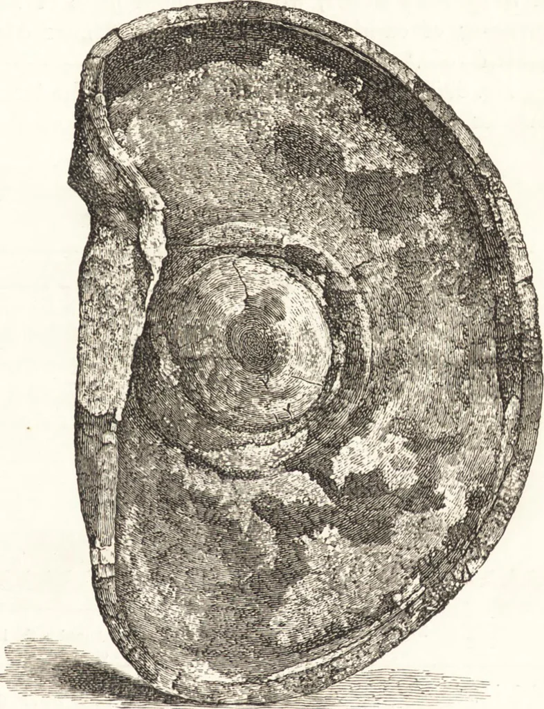 An illustration from Ilios; the city and country of the Trojans. The results of researches and discoveries on the site of Troy and throughout the Troad in the years 1871-72-73-78-79, including an autobiography of the author, 1880, leaf 498
