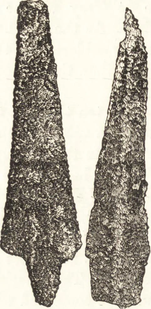 An illustration from Ilios; the city and country of the Trojans. The results of researches and discoveries on the site of Troy and throughout the Troad in the years 1871-72-73-78-79, including an autobiography of the author, 1880, leaf 501