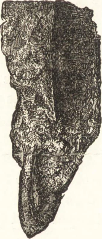 An illustration from Ilios; the city and country of the Trojans. The results of researches and discoveries on the site of Troy and throughout the Troad in the years 1871-72-73-78-79, including an autobiography of the author, 1880, leaf 507