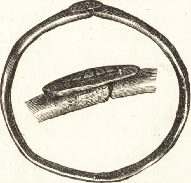 An illustration from Ilios; the city and country of the Trojans. The results of researches and discoveries on the site of Troy and throughout the Troad in the years 1871-72-73-78-79, including an autobiography of the author, 1880, leaf 512