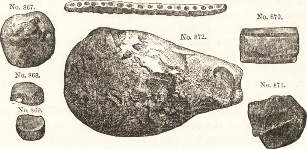An illustration from Ilios; the city and country of the Trojans. The results of researches and discoveries on the site of Troy and throughout the Troad in the years 1871-72-73-78-79, including an autobiography of the author, 1880, leaf 518
