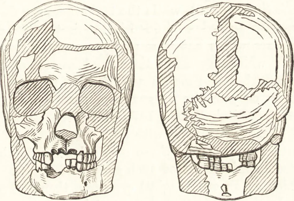 An illustration from Ilios; the city and country of the Trojans. The results of researches and discoveries on the site of Troy and throughout the Troad in the years 1871-72-73-78-79, including an autobiography of the author, 1880, leaf 534