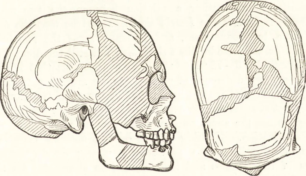 An illustration from Ilios; the city and country of the Trojans. The results of researches and discoveries on the site of Troy and throughout the Troad in the years 1871-72-73-78-79, including an autobiography of the author, 1880, leaf 534