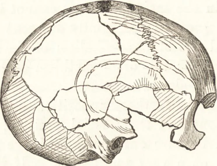 An illustration from Ilios; the city and country of the Trojans. The results of researches and discoveries on the site of Troy and throughout the Troad in the years 1871-72-73-78-79, including an autobiography of the author, 1880, leaf 537