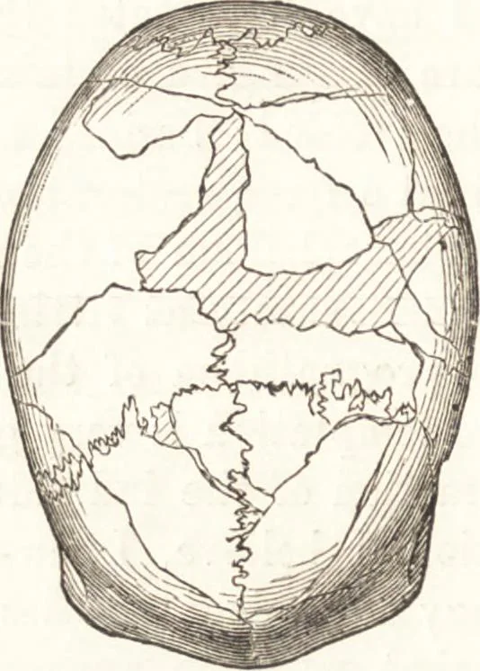 An illustration from Ilios; the city and country of the Trojans. The results of researches and discoveries on the site of Troy and throughout the Troad in the years 1871-72-73-78-79, including an autobiography of the author, 1880, leaf 537