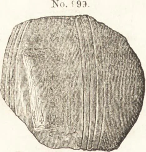 An illustration from Ilios; the city and country of the Trojans. The results of researches and discoveries on the site of Troy and throughout the Troad in the years 1871-72-73-78-79, including an autobiography of the author, 1880, leaf 549