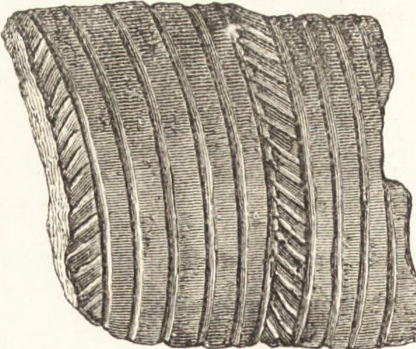 An illustration from Ilios; the city and country of the Trojans. The results of researches and discoveries on the site of Troy and throughout the Troad in the years 1871-72-73-78-79, including an autobiography of the author, 1880, leaf 549