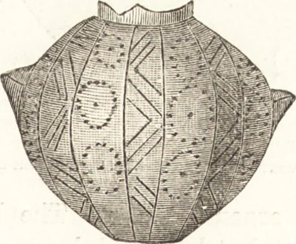 An illustration from Ilios; the city and country of the Trojans. The results of researches and discoveries on the site of Troy and throughout the Troad in the years 1871-72-73-78-79, including an autobiography of the author, 1880, leaf 554