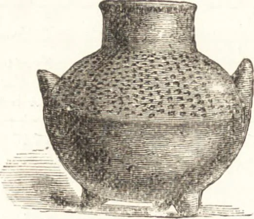 An illustration from Ilios; the city and country of the Trojans. The results of researches and discoveries on the site of Troy and throughout the Troad in the years 1871-72-73-78-79, including an autobiography of the author, 1880, leaf 555