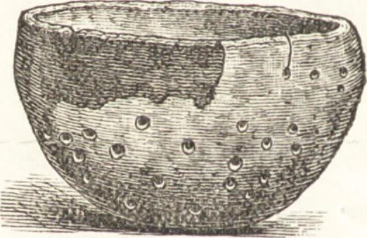 An illustration from Ilios; the city and country of the Trojans. The results of researches and discoveries on the site of Troy and throughout the Troad in the years 1871-72-73-78-79, including an autobiography of the author, 1880, leaf 581