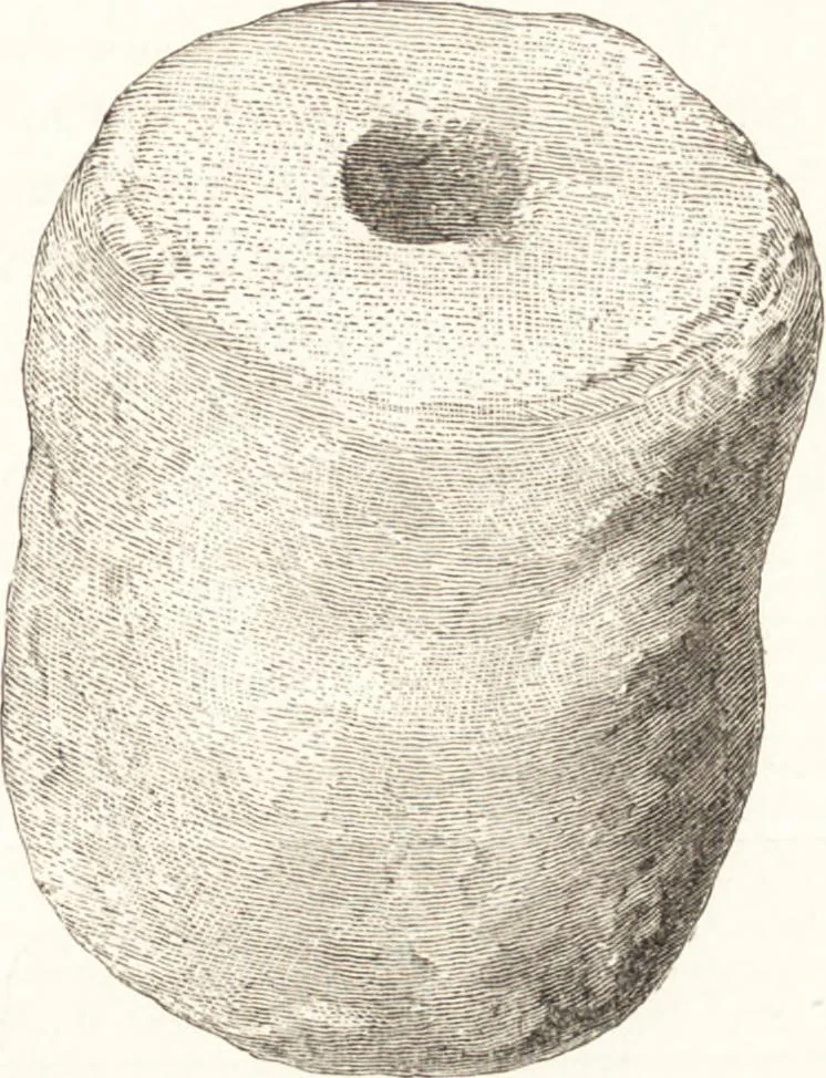 An illustration from Ilios; the city and country of the Trojans. The results of researches and discoveries on the site of Troy and throughout the Troad in the years 1871-72-73-78-79, including an autobiography of the author, 1880, leaf 584