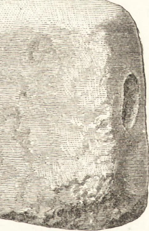 An illustration from Ilios; the city and country of the Trojans. The results of researches and discoveries on the site of Troy and throughout the Troad in the years 1871-72-73-78-79, including an autobiography of the author, 1880, leaf 584