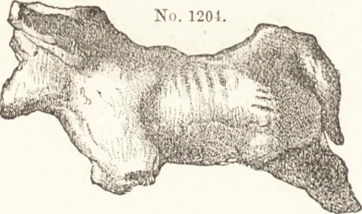 An illustration from Ilios; the city and country of the Trojans. The results of researches and discoveries on the site of Troy and throughout the Troad in the years 1871-72-73-78-79, including an autobiography of the author, 1880, leaf 585
