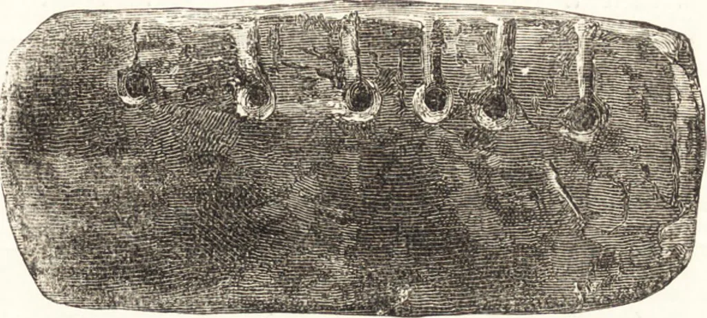 An illustration from Ilios; the city and country of the Trojans. The results of researches and discoveries on the site of Troy and throughout the Troad in the years 1871-72-73-78-79, including an autobiography of the author, 1880, leaf 586