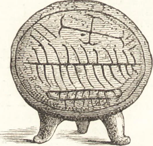 An illustration from Ilios; the city and country of the Trojans. The results of researches and discoveries on the site of Troy and throughout the Troad in the years 1871-72-73-78-79, including an autobiography of the author, 1880, leaf 587