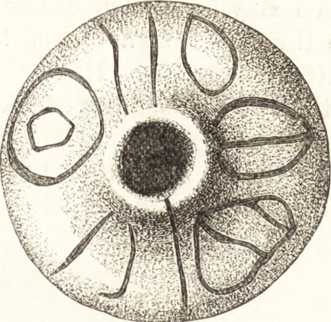 An illustration from Ilios; the city and country of the Trojans. The results of researches and discoveries on the site of Troy and throughout the Troad in the years 1871-72-73-78-79, including an autobiography of the author, 1880, leaf 588