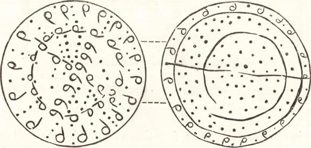 An illustration from Ilios; the city and country of the Trojans. The results of researches and discoveries on the site of Troy and throughout the Troad in the years 1871-72-73-78-79, including an autobiography of the author, 1880, leaf 588