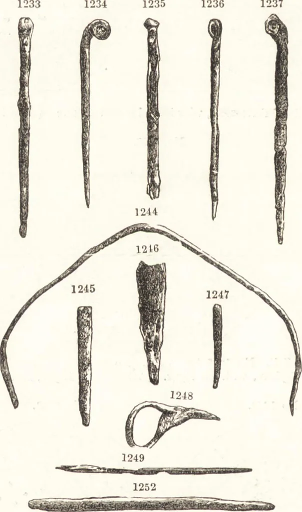 An illustration from Ilios; the city and country of the Trojans. The results of researches and discoveries on the site of Troy and throughout the Troad in the years 1871-72-73-78-79, including an autobiography of the author, 1880, leaf 589