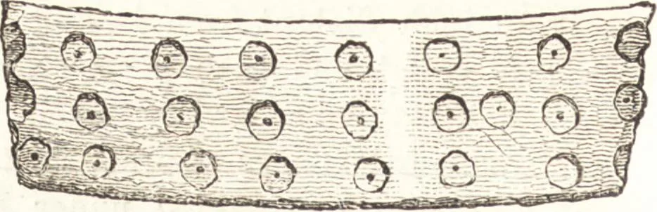 An illustration from Ilios; the city and country of the Trojans. The results of researches and discoveries on the site of Troy and throughout the Troad in the years 1871-72-73-78-79, including an autobiography of the author, 1880, leaf 591