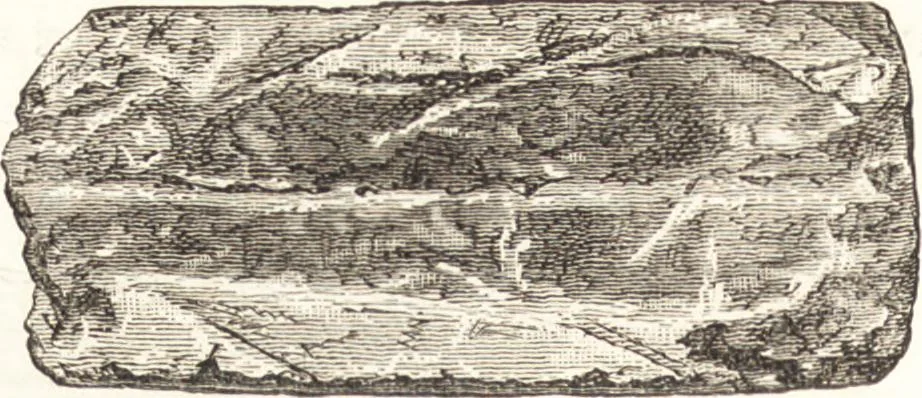 An illustration from Ilios; the city and country of the Trojans. The results of researches and discoveries on the site of Troy and throughout the Troad in the years 1871-72-73-78-79, including an autobiography of the author, 1880, leaf 593