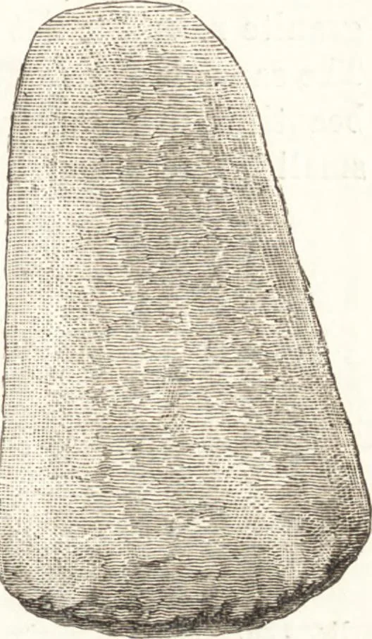 An illustration from Ilios; the city and country of the Trojans. The results of researches and discoveries on the site of Troy and throughout the Troad in the years 1871-72-73-78-79, including an autobiography of the author, 1880, leaf 594