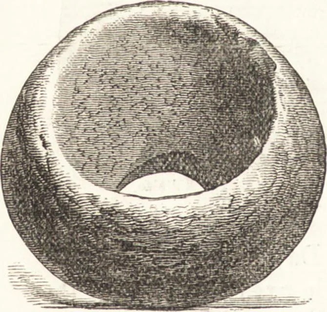 An illustration from Ilios; the city and country of the Trojans. The results of researches and discoveries on the site of Troy and throughout the Troad in the years 1871-72-73-78-79, including an autobiography of the author, 1880, leaf 595