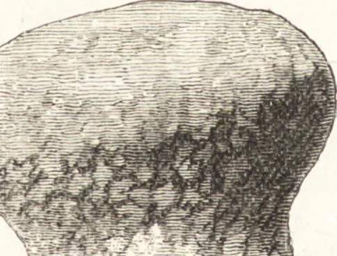 An illustration from Ilios; the city and country of the Trojans. The results of researches and discoveries on the site of Troy and throughout the Troad in the years 1871-72-73-78-79, including an autobiography of the author, 1880, leaf 595