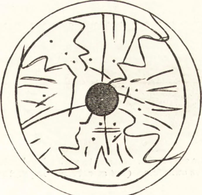 An illustration from Ilios; the city and country of the Trojans. The results of researches and discoveries on the site of Troy and throughout the Troad in the years 1871-72-73-78-79, including an autobiography of the author, 1880, leaf 598