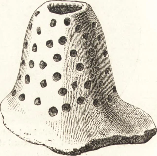 An illustration from Ilios; the city and country of the Trojans. The results of researches and discoveries on the site of Troy and throughout the Troad in the years 1871-72-73-78-79, including an autobiography of the author, 1880, leaf 601