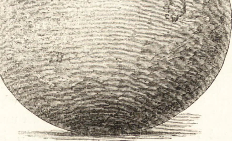 An illustration from Ilios; the city and country of the Trojans. The results of researches and discoveries on the site of Troy and throughout the Troad in the years 1871-72-73-78-79, including an autobiography of the author, 1880, leaf 602