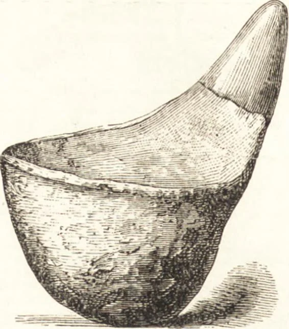 An illustration from Ilios; the city and country of the Trojans. The results of researches and discoveries on the site of Troy and throughout the Troad in the years 1871-72-73-78-79, including an autobiography of the author, 1880, leaf 605