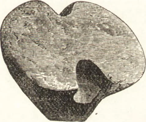 An illustration from Ilios; the city and country of the Trojans. The results of researches and discoveries on the site of Troy and throughout the Troad in the years 1871-72-73-78-79, including an autobiography of the author, 1880, leaf 608