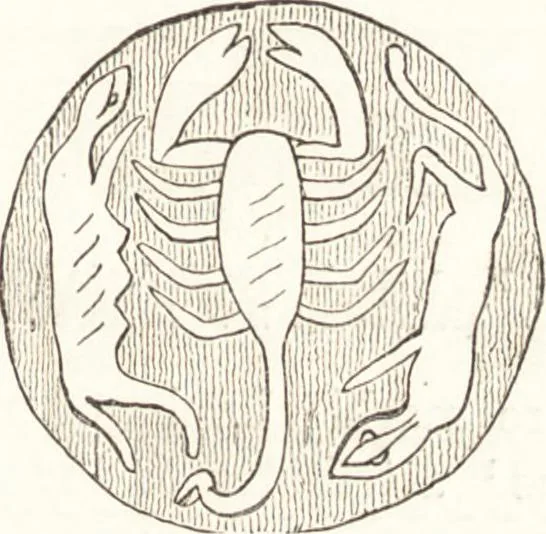 An illustration from Ilios; the city and country of the Trojans. The results of researches and discoveries on the site of Troy and throughout the Troad in the years 1871-72-73-78-79, including an autobiography of the author, 1880, leaf 626