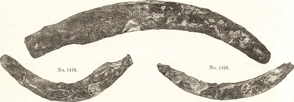 An illustration from Ilios; the city and country of the Trojans. The results of researches and discoveries on the site of Troy and throughout the Troad in the years 1871-72-73-78-79, including an autobiography of the author, 1880, leaf 629