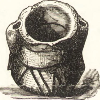 An illustration from Ilios; the city and country of the Trojans. The results of researches and discoveries on the site of Troy and throughout the Troad in the years 1871-72-73-78-79, including an autobiography of the author, 1880, leaf 639