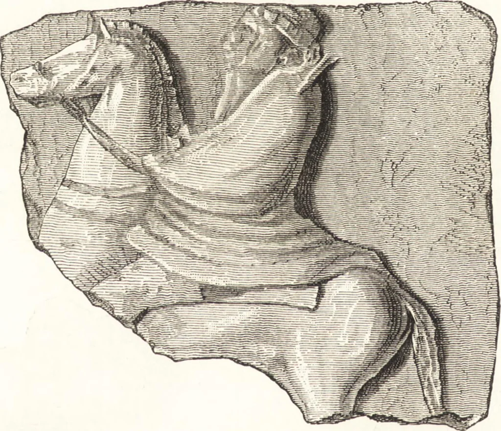 An illustration from Ilios; the city and country of the Trojans. The results of researches and discoveries on the site of Troy and throughout the Troad in the years 1871-72-73-78-79, including an autobiography of the author, 1880, leaf 641