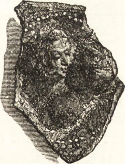 An illustration from Ilios; the city and country of the Trojans. The results of researches and discoveries on the site of Troy and throughout the Troad in the years 1871-72-73-78-79, including an autobiography of the author, 1880, leaf 642