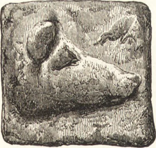 An illustration from Ilios; the city and country of the Trojans. The results of researches and discoveries on the site of Troy and throughout the Troad in the years 1871-72-73-78-79, including an autobiography of the author, 1880, leaf 645