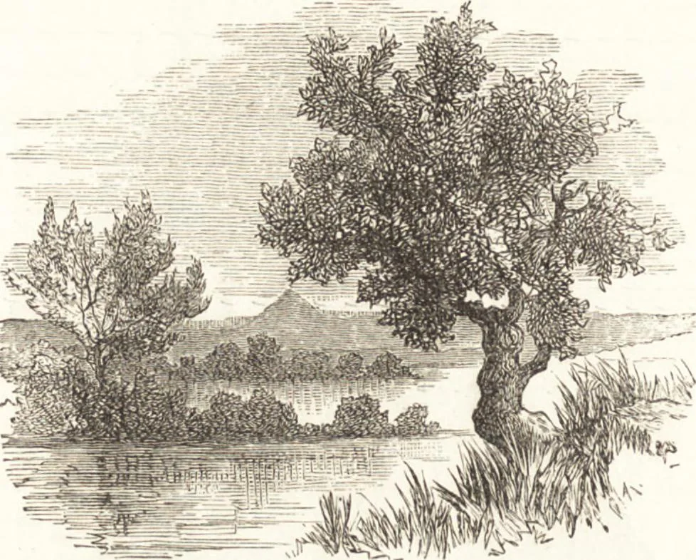 An illustration from Ilios; the city and country of the Trojans. The results of researches and discoveries on the site of Troy and throughout the Troad in the years 1871-72-73-78-79, including an autobiography of the author, 1880, leaf 685