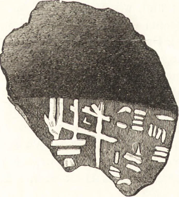 An illustration from Ilios; the city and country of the Trojans. The results of researches and discoveries on the site of Troy and throughout the Troad in the years 1871-72-73-78-79, including an autobiography of the author, 1880, leaf 691