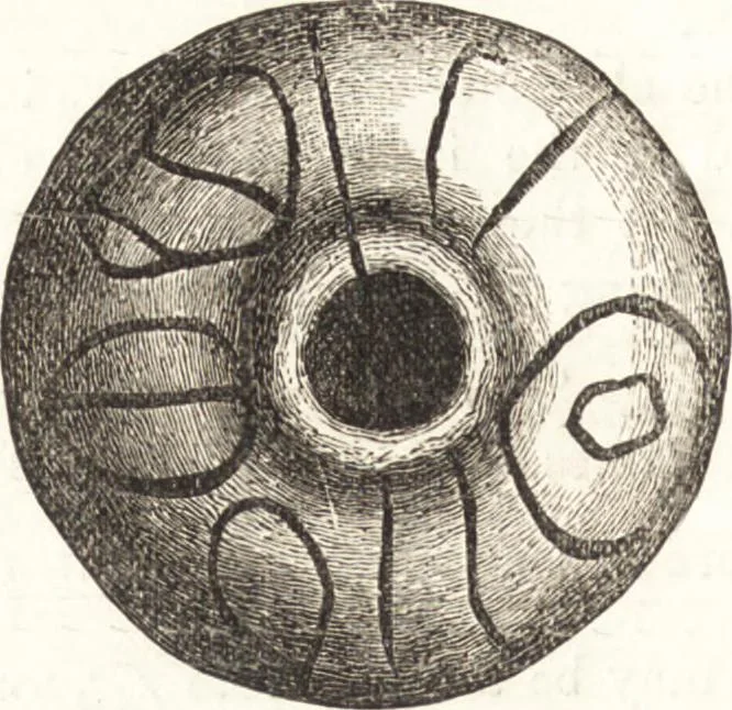 An illustration from Ilios; the city and country of the Trojans. The results of researches and discoveries on the site of Troy and throughout the Troad in the years 1871-72-73-78-79, including an autobiography of the author, 1880, leaf 721