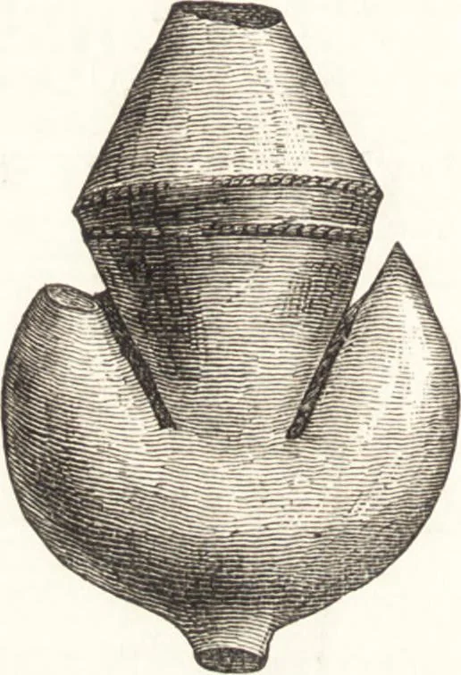 An illustration from Ilios; the city and country of the Trojans. The results of researches and discoveries on the site of Troy and throughout the Troad in the years 1871-72-73-78-79, including an autobiography of the author, 1880, leaf 737