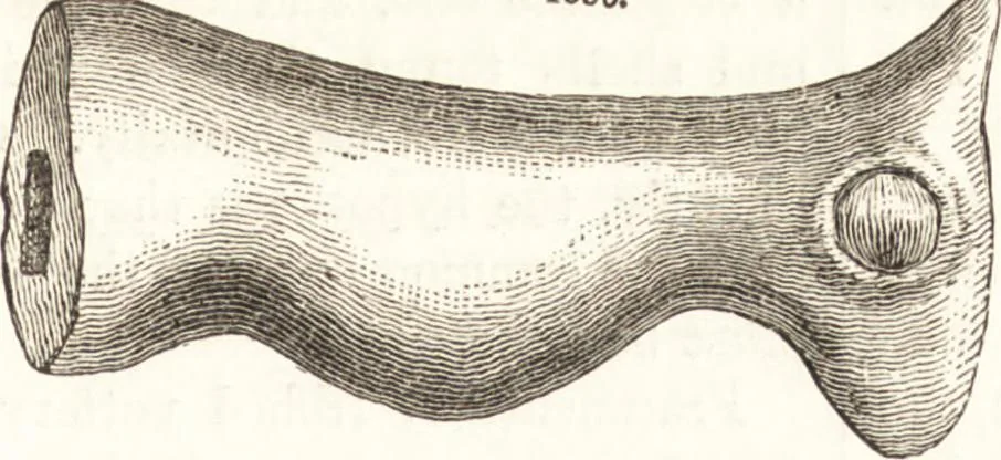 An illustration from Ilios; the city and country of the Trojans. The results of researches and discoveries on the site of Troy and throughout the Troad in the years 1871-72-73-78-79, including an autobiography of the author, 1880, leaf 740