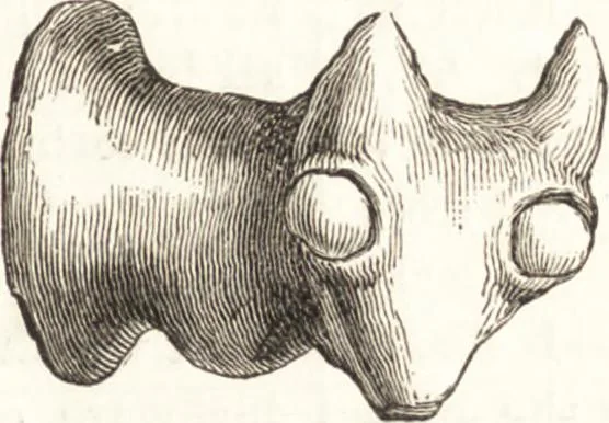 An illustration from Ilios; the city and country of the Trojans. The results of researches and discoveries on the site of Troy and throughout the Troad in the years 1871-72-73-78-79, including an autobiography of the author, 1880, leaf 740