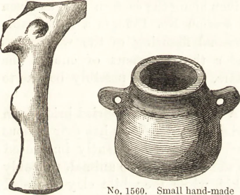 An illustration from Ilios; the city and country of the Trojans. The results of researches and discoveries on the site of Troy and throughout the Troad in the years 1871-72-73-78-79, including an autobiography of the author, 1880, leaf 740