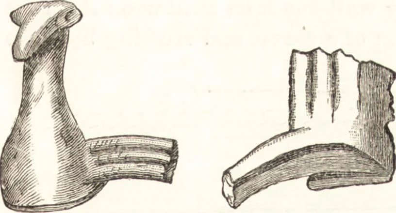 An illustration from Ilios; the city and country of the Trojans. The results of researches and discoveries on the site of Troy and throughout the Troad in the years 1871-72-73-78-79, including an autobiography of the author, 1880, leaf 740