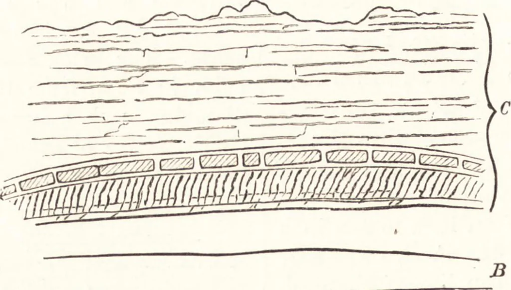 An illustration from Ilios; the city and country of the Trojans. The results of researches and discoveries on the site of Troy and throughout the Troad in the years 1871-72-73-78-79, including an autobiography of the author, 1880, leaf 741